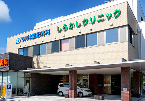 しらかしクリニック